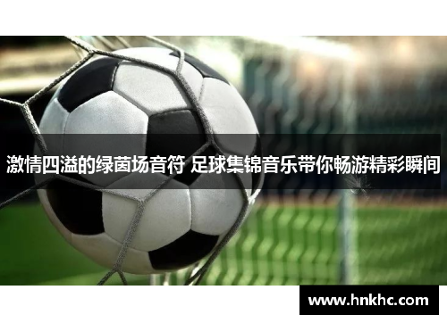 激情四溢的绿茵场音符 足球集锦音乐带你畅游精彩瞬间